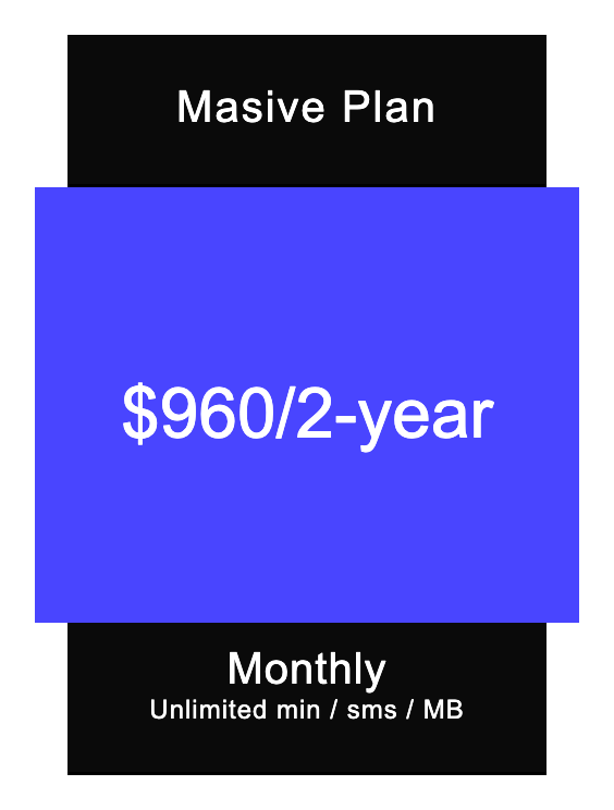 Masive plan/2-year