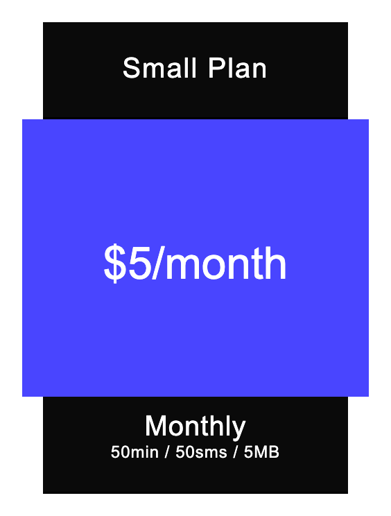 Small Plan