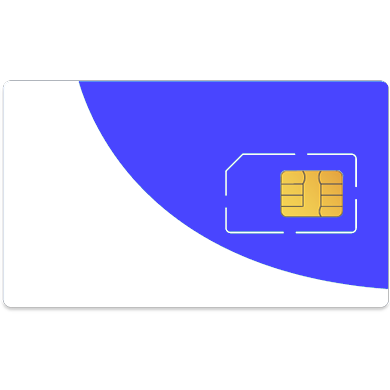 SIM card